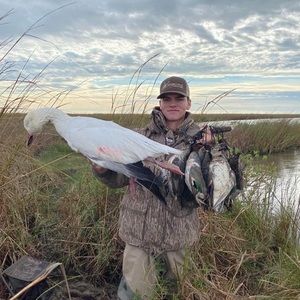 Meet your Posher, Luke